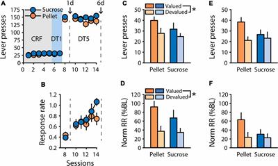 Lever Insertion as a Salient Stimulus Promoting Insensitivity to Outcome Devaluation